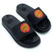 Santa Cruz Slides