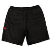 Santa Cruz Cargo Short 