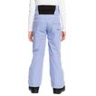 Pant Snow Diversion Roxy