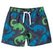 Boardshort Space Dino Mnt