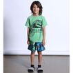 Boardshort Space Dino Mnt