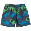 Boardshort Space Dino Mnt