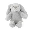 Bunny Littlefoot Lily Geo