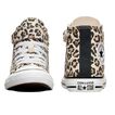 Boot CT Leopard Converse