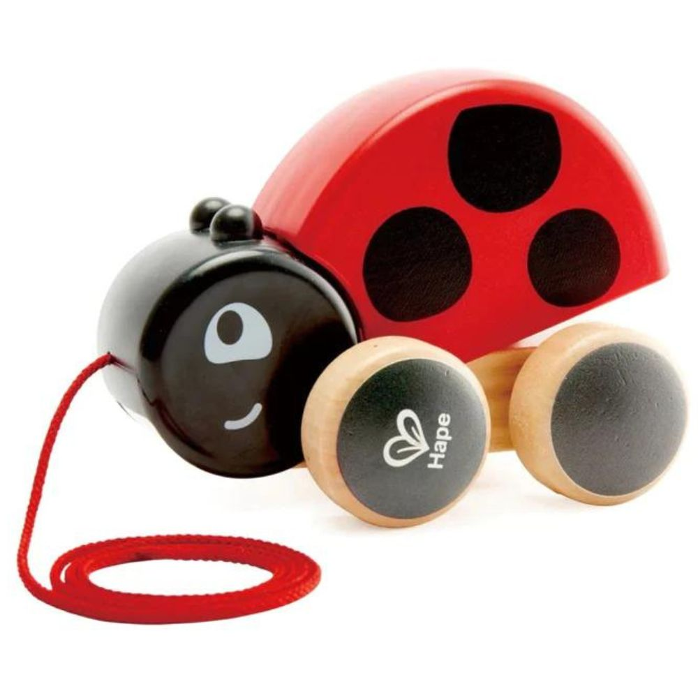 Hape Lady Bug Pull Along