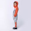 Hoodie Sporty Dino Minti