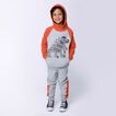 Hoodie Sporty Dino Minti