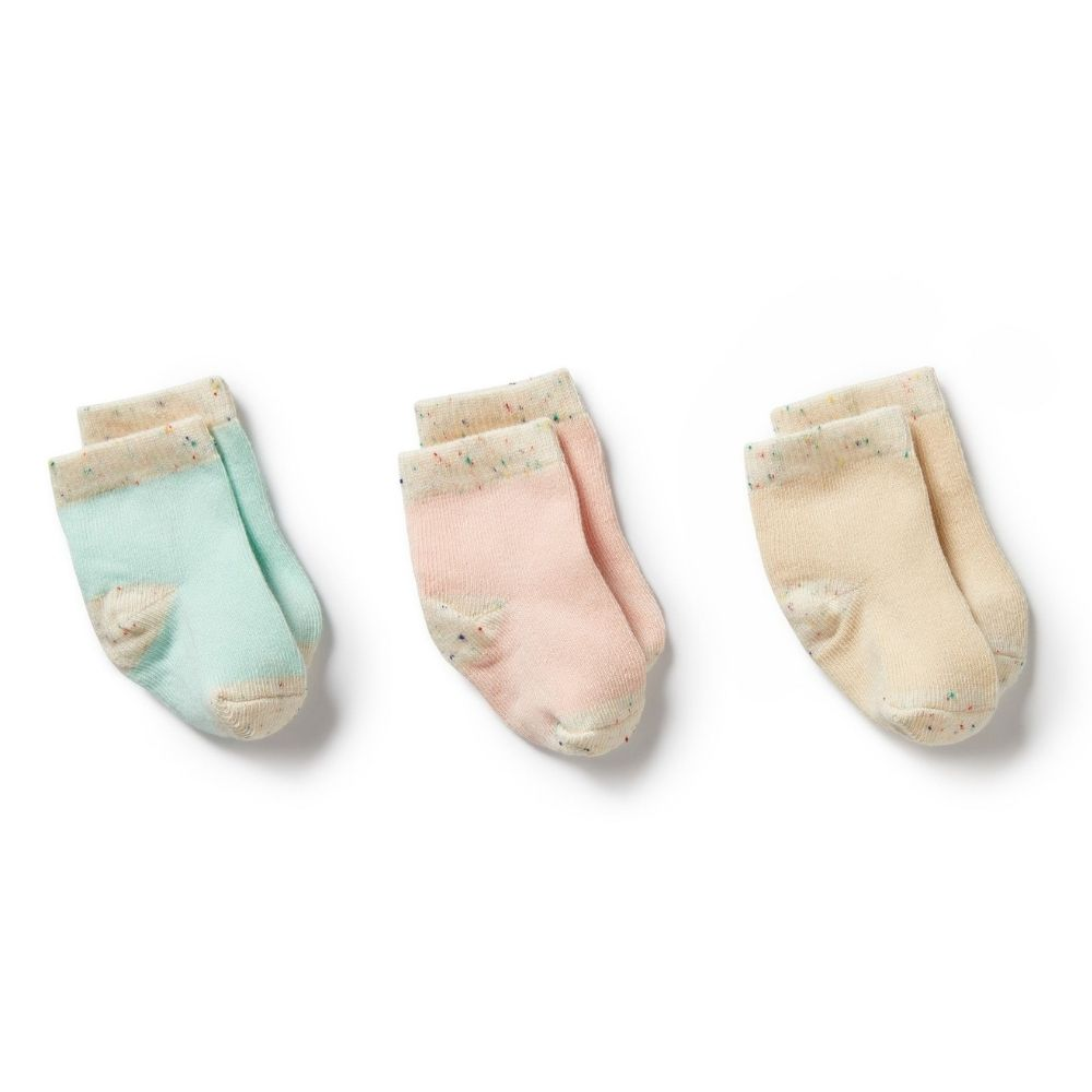 Wilson + Frenchy Organic 3pk Socks