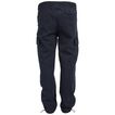 Pant Team St Goliath