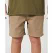 Volcom Frickin 15" Short