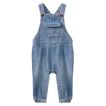 Overall Light Wash Milky