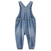 Overall Light Wash Milky