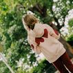 Zip Hood Hearts TGC