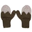Mitten Mountain Top Acorn