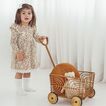 Dress Ruffle Aster + Oak
