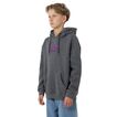 Hoodie Decaying Hand SC