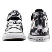 Hi Top Dinocons Converse