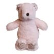 Littlefoot Bear L&G