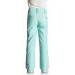 Roxy Backyard Snow Pant