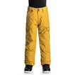 Quiksilver Porter Pant