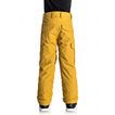 Quiksilver Porter Snow Pant