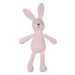 Lily & George Bunny Toy