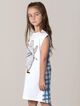 Minti Picnic Bear Shift Dress