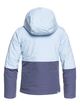 Roxy Jetty Block Snow Jacket