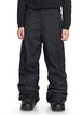 DC Banshee Snow Pant