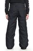 DC Banshee Snow Pant