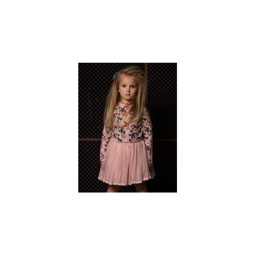 Rock Your Kid Shabby Chic Circus Dress