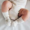 Lamington Baby Sock
