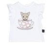 Huxbaby Chihuahua Top