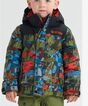 Burton Amped Snow Jacket