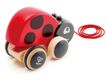 Hape Lady Bug Pull Along