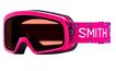 Smith Gamber Goggles