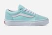 Vans Old Skool Shoe