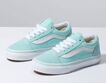 Vans Old Skool Shoe 