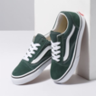 Vans Old Skool Shoe