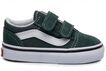 Vans Old Skool V Shoe