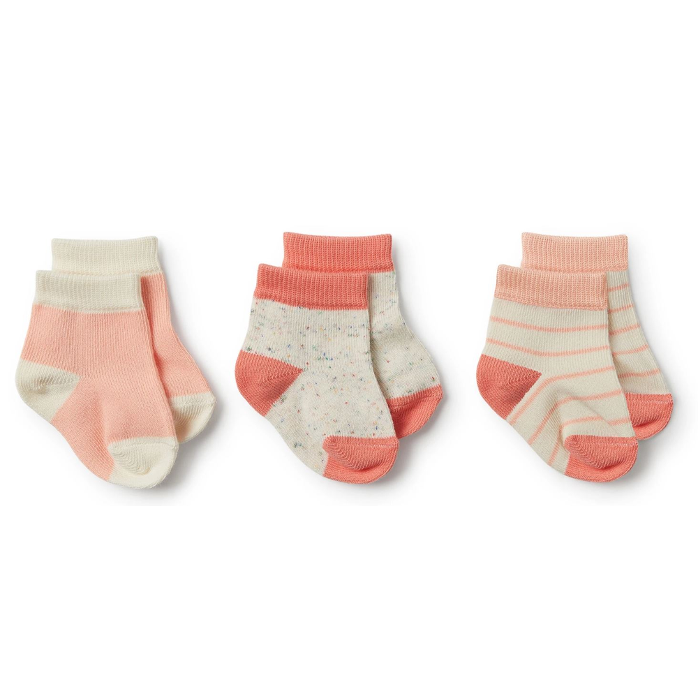 Wilson + Frenchy Sock - 3 Pack