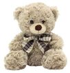 Teddytime Brodie Bear