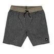 Volcom Braney Short