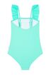 Seafolly Frill Tank Swimsuit