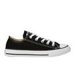 Converse CT Low Shoe