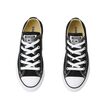 Converse CT Low Shoe